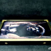 Нарды под стеклом «Золотой лев» — необычный подарок — фотография 6